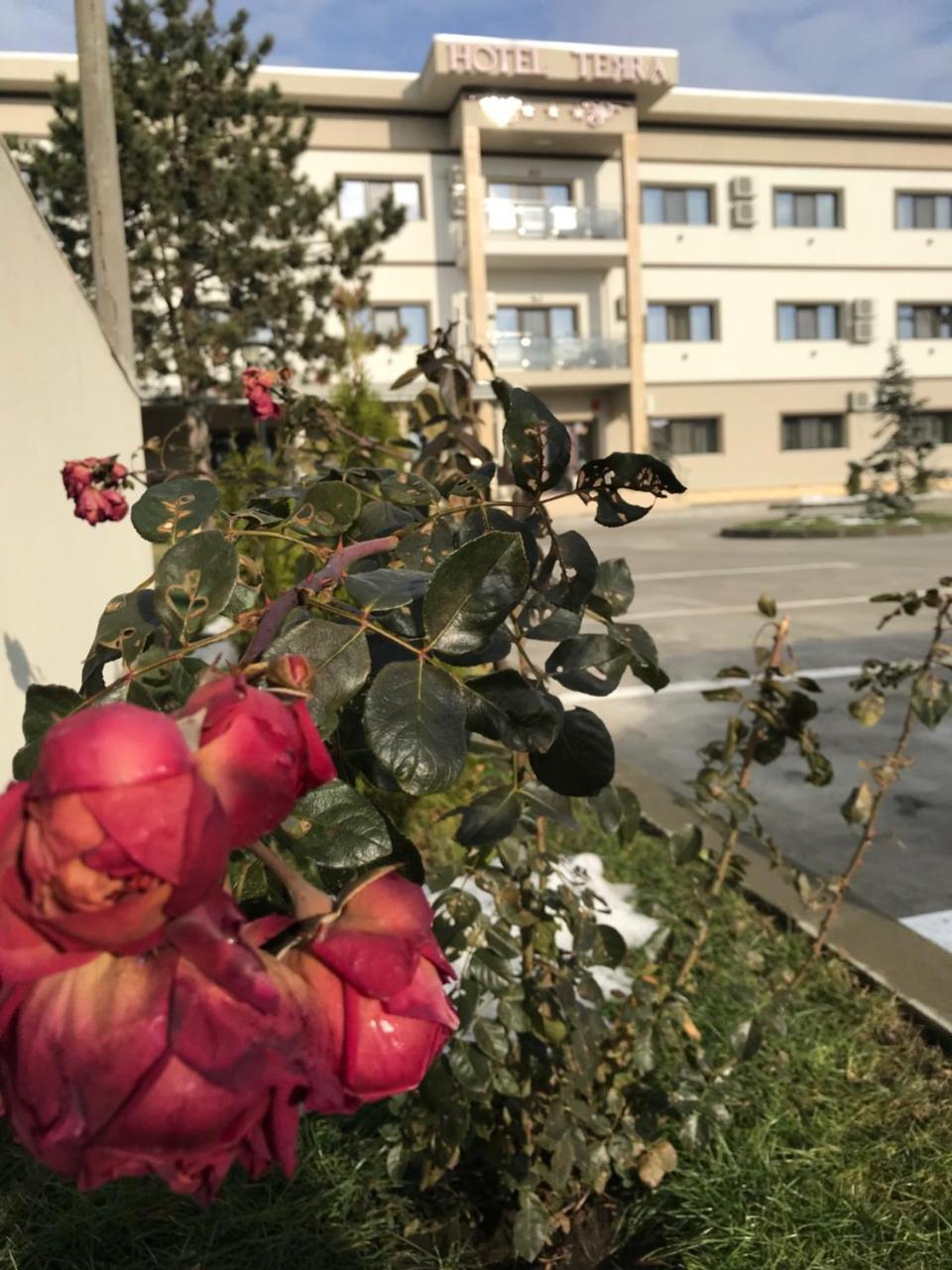 Hotel Terra Iasi Valea Lupului  Ngoại thất bức ảnh
